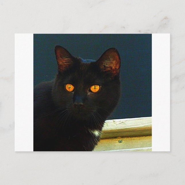 Carte Postale Minuit (Devant)
