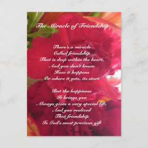 Carte postale Miracle of Friendship
