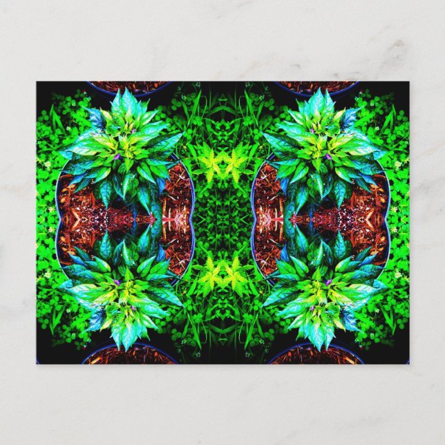 Carte Postale miroir pequin violet 4 (Devant)