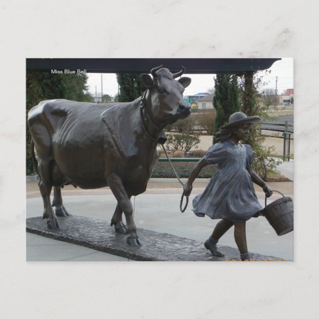 Carte Postale Miss Blue Bell Postcard (Devant)