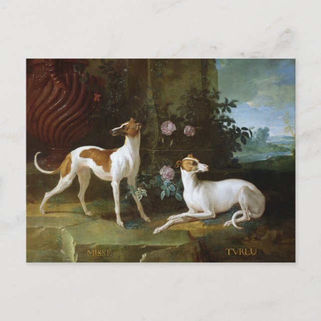 Carte Postale Misse et Turlu, deux lévriers de Louis XV (Devant)