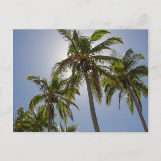 Carte Postale Mission Beach