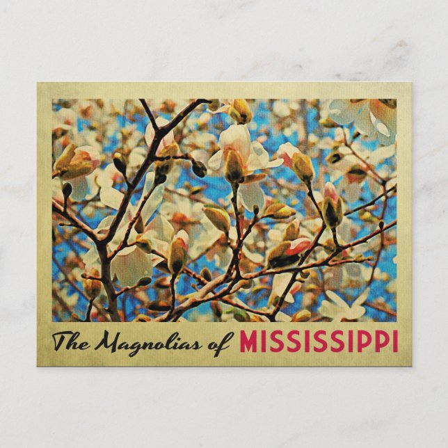 Carte Postale Mississippi Magnolias (Devant)