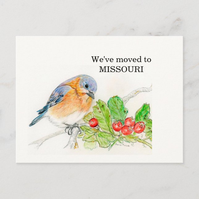 Carte Postale Missouri (Devant)
