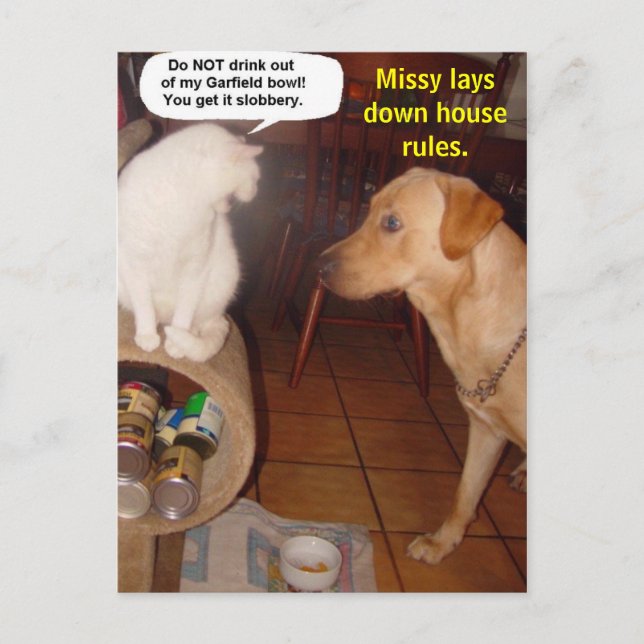 Carte Postale Missy établit des règles de l'intérieur. (Devant)