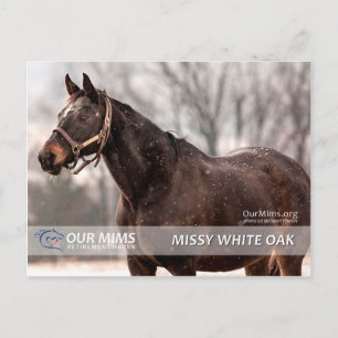 Carte postale Missy White Oak