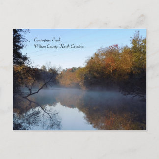 Carte Postale Mist du matin - Contentnea Creek