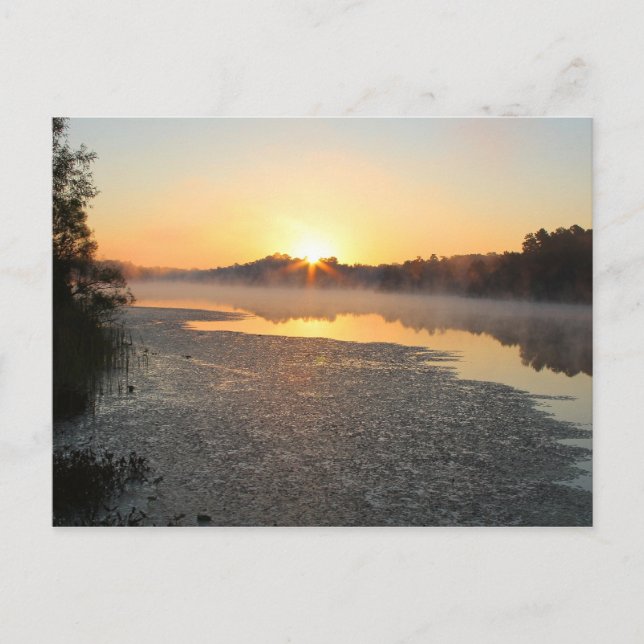 Carte postale Misty Lake Sunrise (Devant)