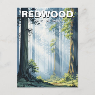 Carte Postale Misty Morning in Redwood National Park