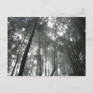 Carte postale Misty Mountains