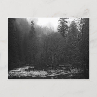 Carte postale - Misty Saumon River, Oregon