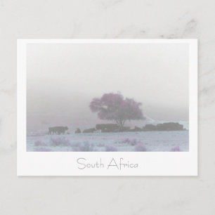 Carte postale Misty South Africa Rural Landscape S