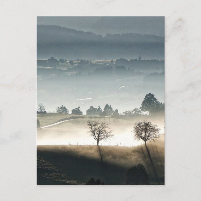 Carte Postale Misty Suisse Paysage rural (Devant)