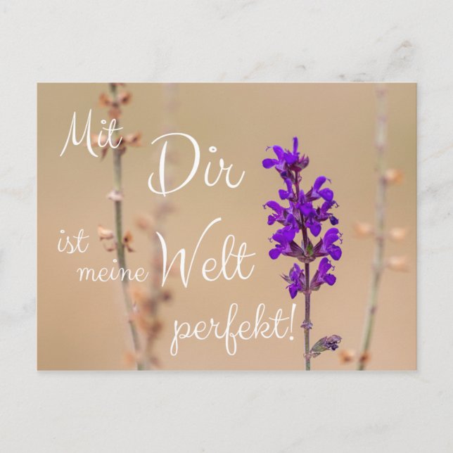 Carte Postale Mit Dir ist meine Welt perfekt ! (Devant)