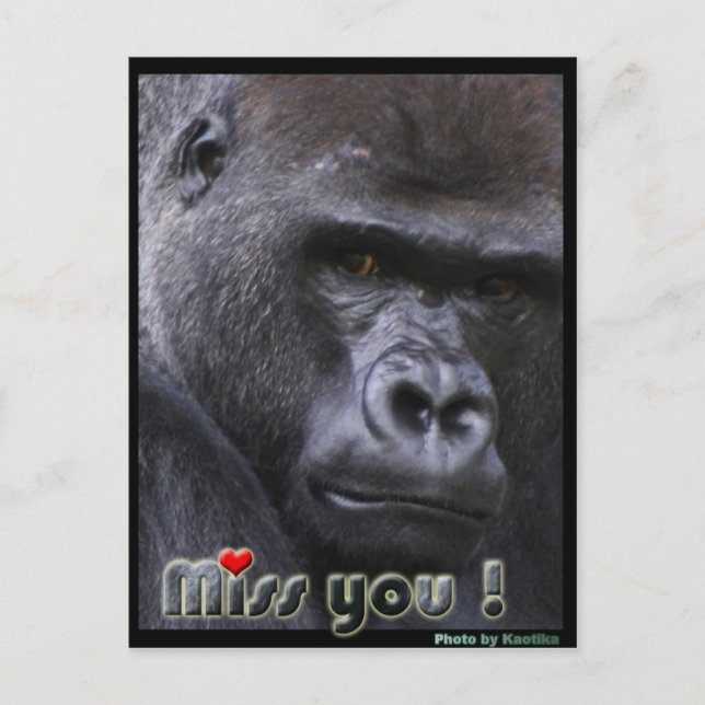 Carte Postale Mlle Gorilla (Devant)