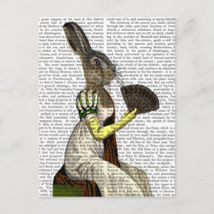 Carte Postale Mlle Hare