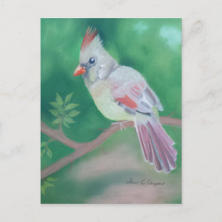 Carte Postale Mme Cardinal