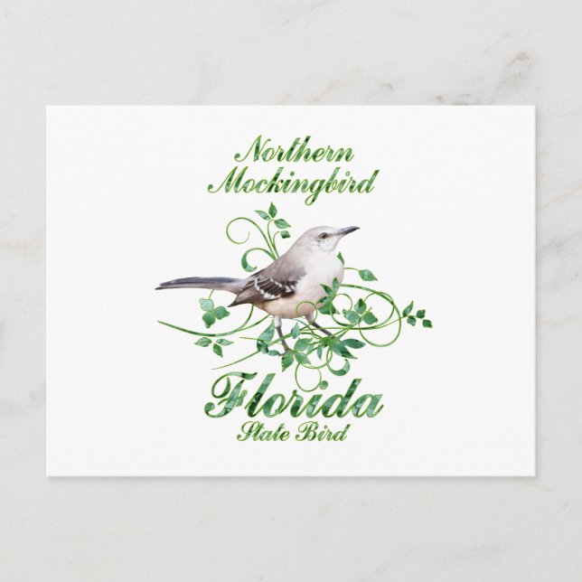Carte Postale Mockingbird Florida State Bird (Devant)