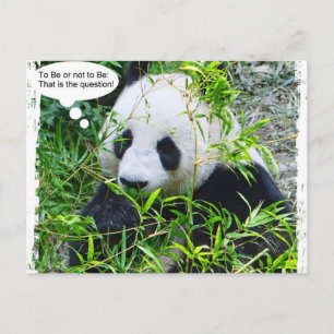 Carte Postale Modèle de citation d'art pop moderne Panda Tendanc
