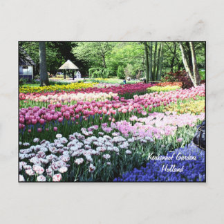 Carte postale Modèle, jardins fleuris