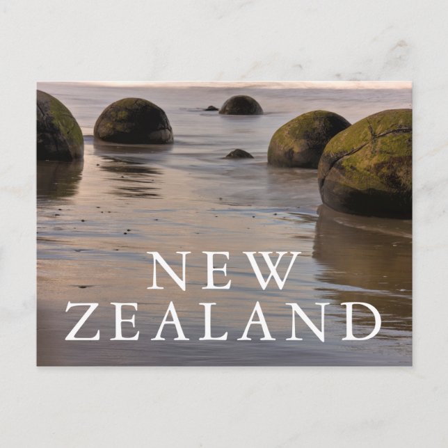 Carte Postale Moeraki Boulders sur la plage (Devant)