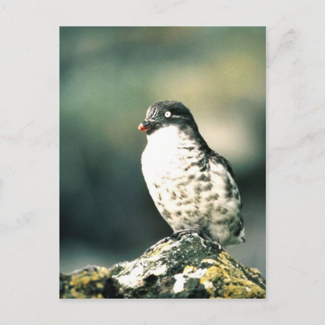 Carte Postale Moins d'audits (Devant)