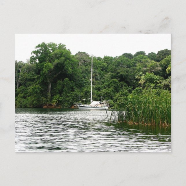 Carte Postale Moira à l'ancre, Rio Chagres, Panama (Devant)