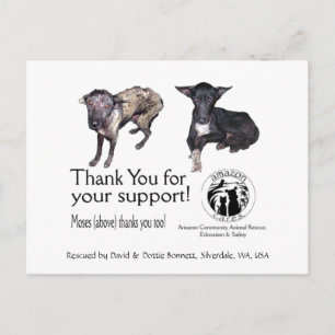 Carte postale:  Moïse, avant et après son Secourt