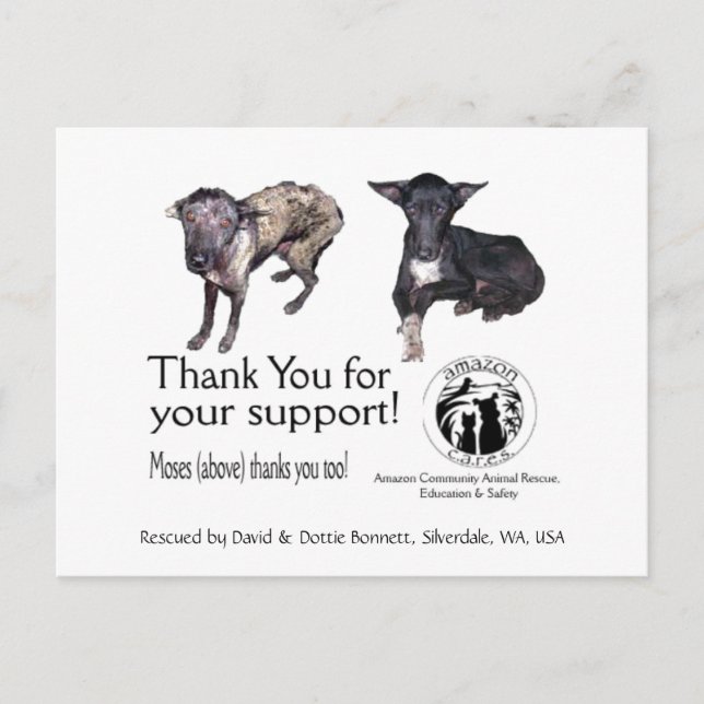 Carte postale : Moïse, avant et après son Secourt (Devant)