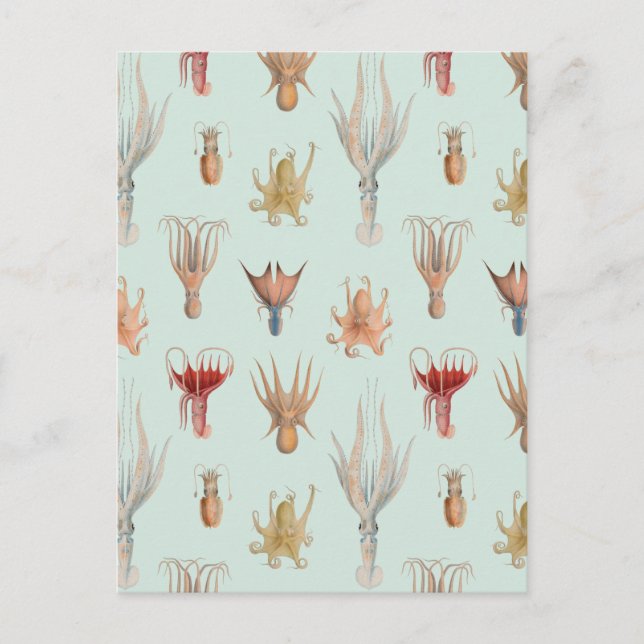 Carte Postale Mollusques vintages (bleu) (Devant)