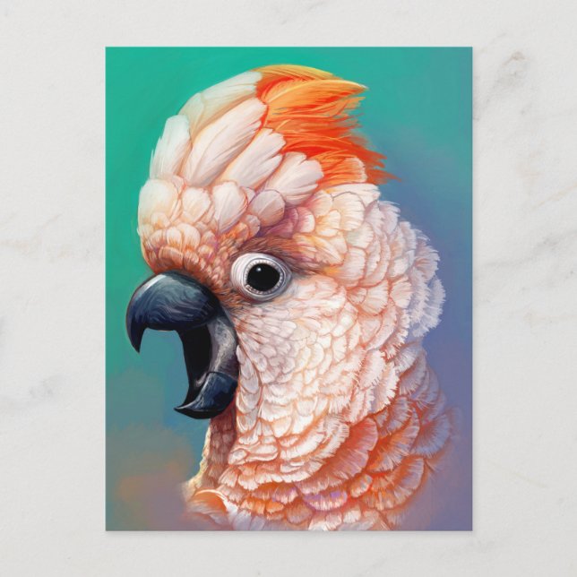 Carte Postale Moluccan Cockatoo peinture réaliste (Devant)