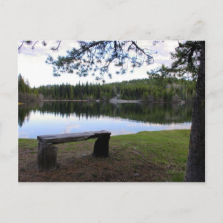 Carte Postale Moment du matin réfléchi