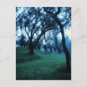 Carte Postale Moment éthérique