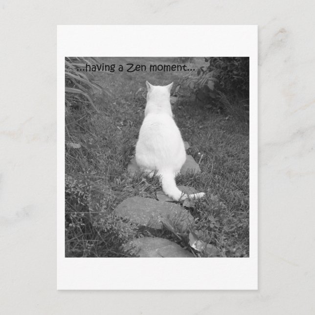 Carte Postale Moment zen (Devant)