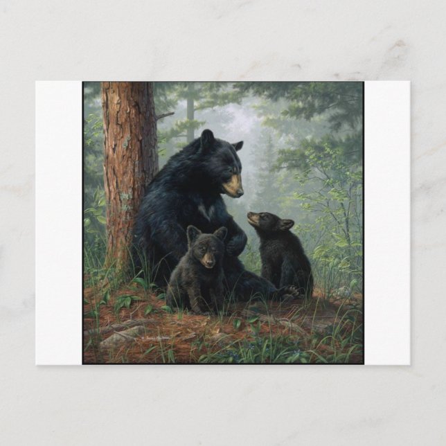 Carte Postale Momma Bear (Devant)