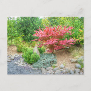Carte Postale Momotaro Jardin japonais 3
