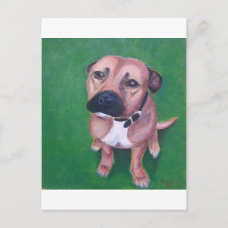 Carte Postale Mon 2012 staffy