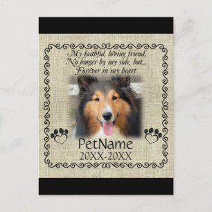 Carte Postale Mon Ami Fidèle Pet Sympathie Custom Burlap