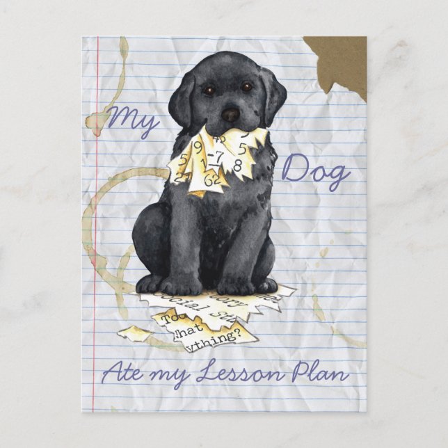 Carte Postale Mon Black Lab A Mangé Mon Plan De Leçon (Devant)