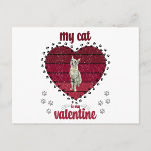 Carte Postale Mon Chat Est Ma Saint Valentin