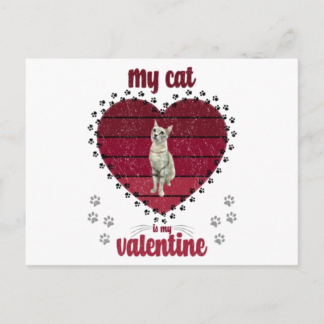 Carte Postale Mon Chat Est Ma Saint Valentin (Devant)