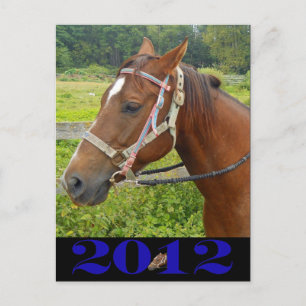 Carte postale Mon cheval