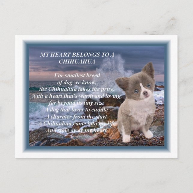 Carte Postale Mon coeur appartient à un poème de Chihuahua (Devant)