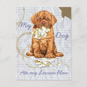 Carte Postale Mon Dogue de Bordeaux Mange Mon plan de leçon