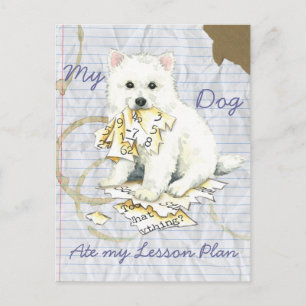 Carte Postale Mon Eskie A Mangé Mon Plan De Leçon