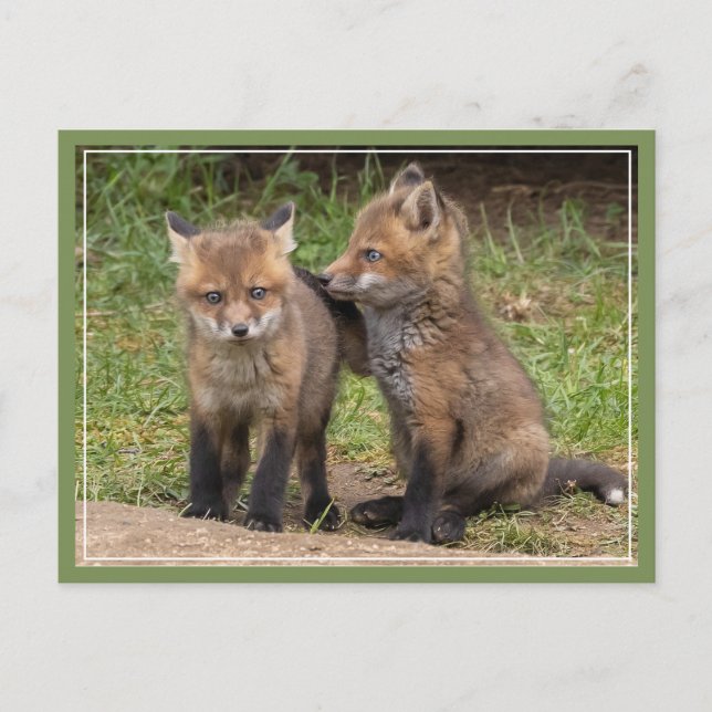 Carte Postale Mon frère/soeur Mon ami (Devant)