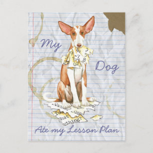 Carte Postale Mon Ibizan Hound A Mangé Mon Plan De Leçon
