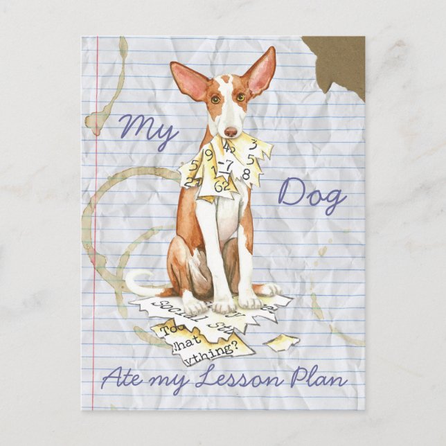 Carte Postale Mon Ibizan Hound A Mangé Mon Plan De Leçon (Devant)