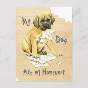 Carte Postale Mon Mastiff A Mangé Mes Devoirs