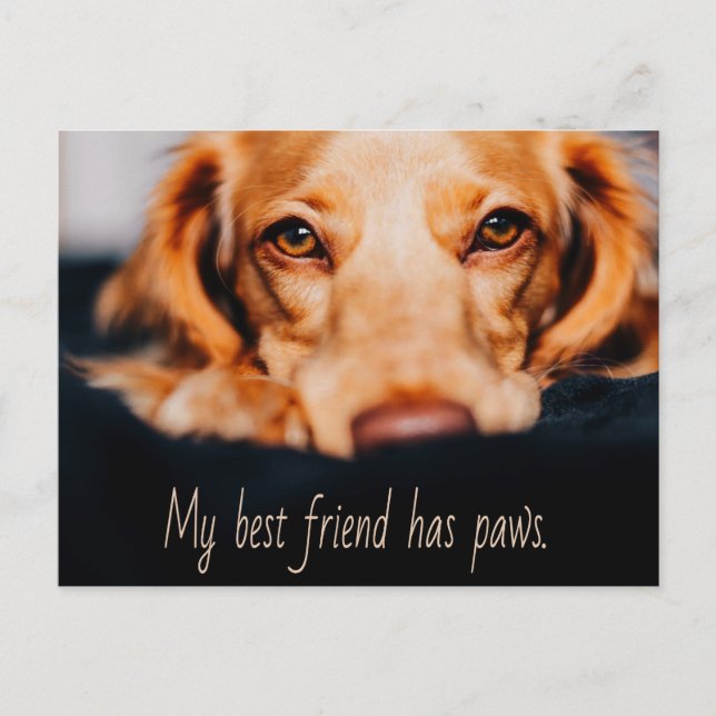 Carte Postale Mon meilleur ami a des pattes de chien, Puppy Meme (Devant)